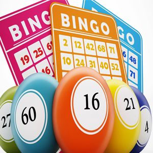 online olarak bingo nasıl oynanır ?